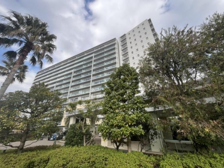 �_�ސ쌧������s��̒��Ã}���V�����̂��̑����n