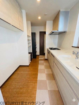 �_�ސ쌧����s������ 309-17�̒��È�ˌ��ẴL�b�`��