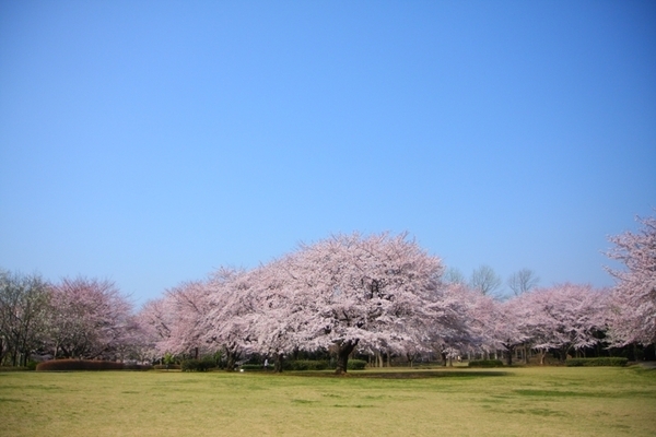 �_�ސ쌧����s���̐V�z��ˌ��Ă̎��ӊ�