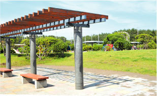 �_�ސ쌧������s������̒��Ã}���V�����̎��ӊ�