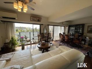 �_�ސ쌧���q�s���{�̒��Ã}���V�����̃��r���O