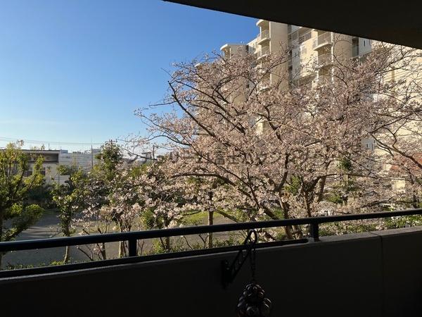 �_�ސ쌧���q�s���{�̒��Ã}���V�����̏Z�˂���̒��]�ʐ^