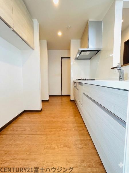 �_�ސ쌧����s������ 309-17�̒��È�ˌ��ẴL�b�`��