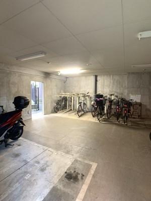 �_�ސ쌧����s����̒��Ã}���V�����̂��̑����p��