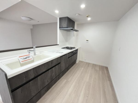 �_�ސ쌧������s�H���C�݂̒��Ã}���V�����̃L�b�`��