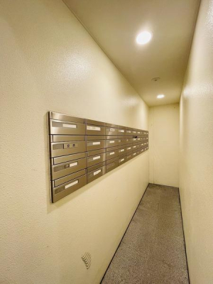 �_�ސ쌧���q�s�␣�̒��Ã}���V�����̂��̑����p��