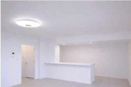 �_�ސ쌧����s�勘�̒��Ã}���V�����̃��r���O