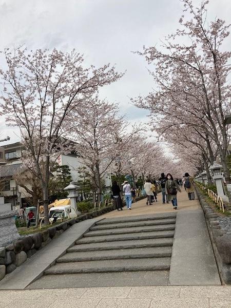 �_�ސ쌧���q�s����3���ڂ̓y�n�̎��ӊ�