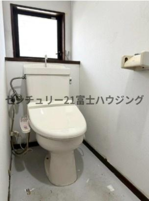 �_�ސ쌧������s���h�̒��È�ˌ��Ẵg�C��