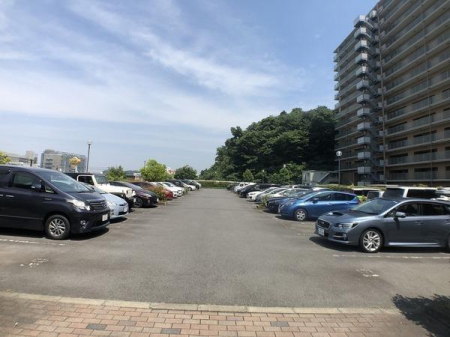 �_�ސ쌧����s�얼�̒��Ã}���V�����̉摜