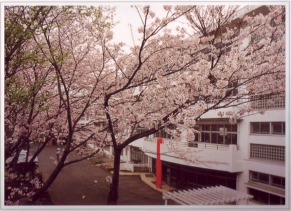 �_�ސ쌧���q�s�����̒��Ã}���V�����̎��ӊ�