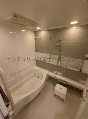 �_�ސ쌧������s������̒��Ã}���V�����̗���