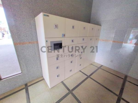 �_�ސ쌧����s�Ԃ̖؂̒��Ã}���V�����̂��̑����p��