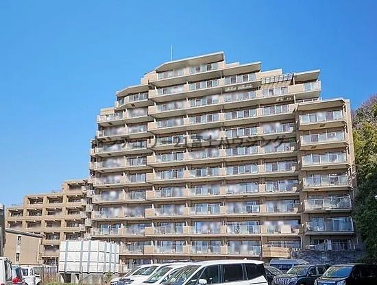 �_�ސ쌧����s�Ԃ̖؂̒��Ã}���V�����̂��̑����n