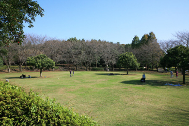 �_�ސ쌧����s���̒��È�ˌ��Ă̎��ӊ�