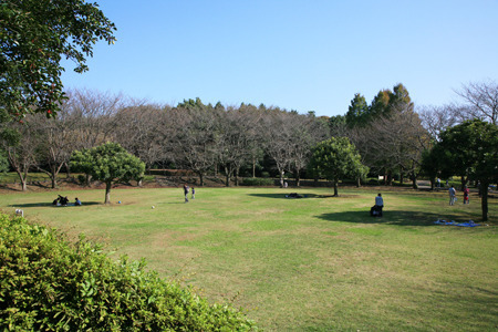 �_�ސ쌧����s���̒��È�ˌ��Ă̎��ӊ�
