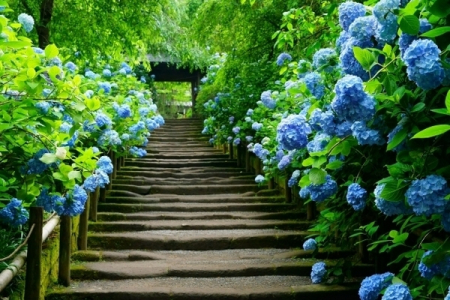 �_�ސ쌧���q�s�����2���ڂ̓y�n�̎��ӊ�
