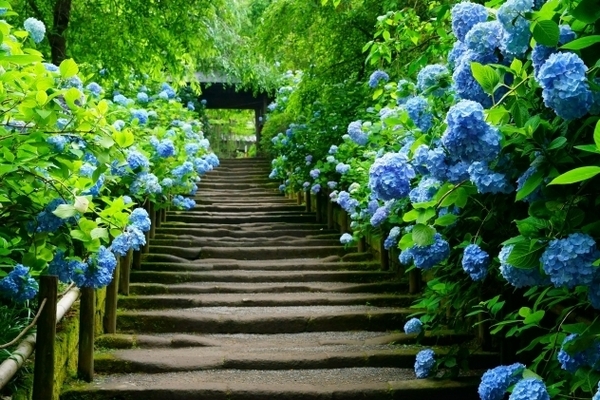 �_�ސ쌧���q�s�����2���ڂ̓y�n�̎��ӊ�