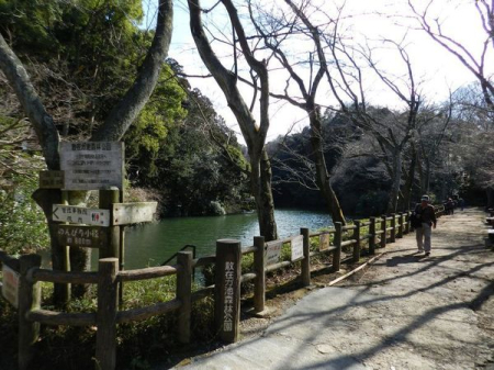 �_�ސ쌧���q�s�����7���ڂ̓y�n�̎��ӊ�