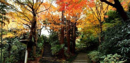 �_�ސ쌧���q�s�����7���ڂ̓y�n�̎��ӊ�