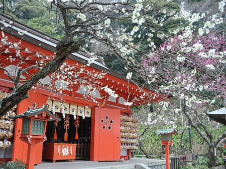 �_�ސ쌧���q�s�����7���ڂ̓y�n�̎��ӊ�