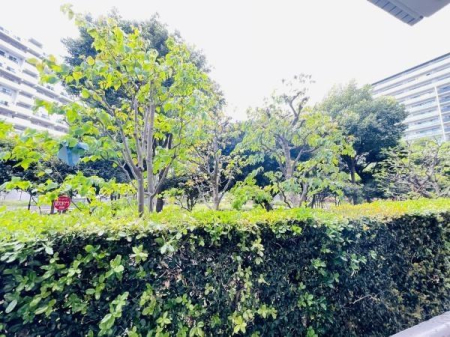 �_�ސ쌧����s�������̒��Ã}���V�����̂��̑����n