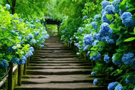 �_�ސ쌧���q�s�R�m���̓y�n�̎��ӊ�