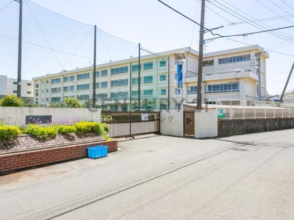 �_�ސ쌧������s���h�̒��Ã}���V�����̎��ӊ�