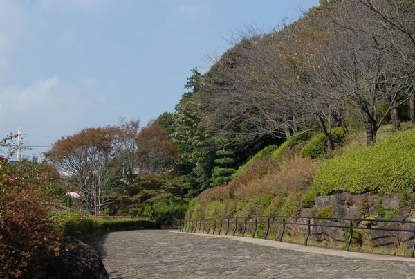 �_�ސ쌧����s���̐V�z��ˌ��Ă̎��ӊ�