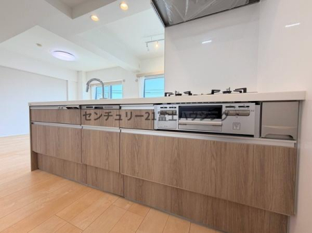 �_�ސ쌧����s�����C��5���ڂ̒��Ã}���V�����̃L�b�`��