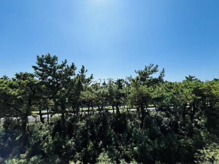 �_�ސ쌧������s���C�ݓ�6���ڂ̒��Ã}���V�����̏Z�˂���̒��]�ʐ^