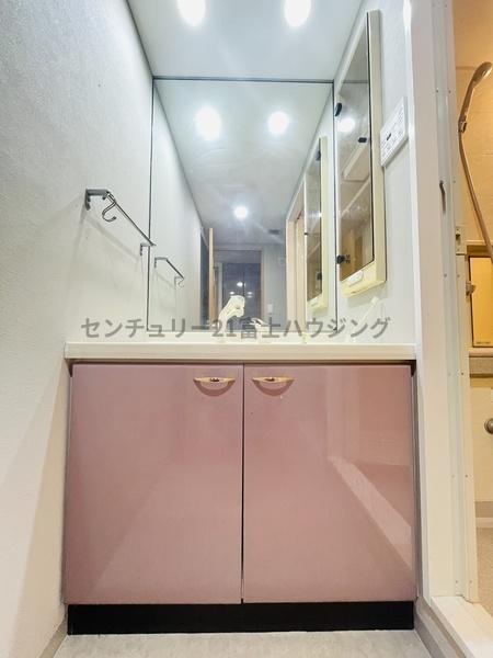 �_�ސ쌧������s���v�ۂ̒��Ã}���V�����̐��ʑ�E���ʏ�