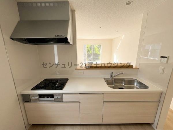 �_�ސ쌧����s�勘�̐V�z��ˌ��ẴL�b�`��