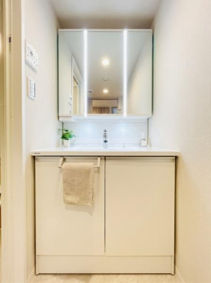 �_�ސ쌧������s���v�ۂ̒��Ã}���V�����̐��ʑ�E���ʏ�
