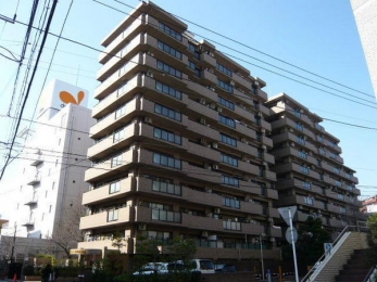 �_�ސ쌧����s����̒��Ã}���V�����̉摜